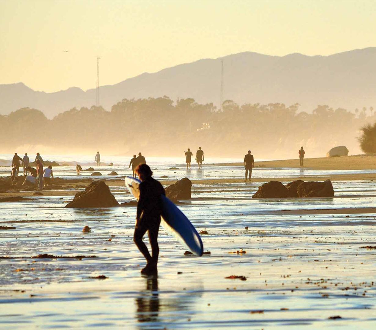 Systems Change for Surfing