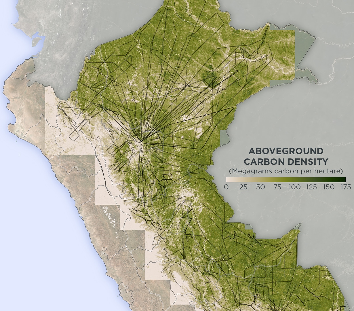 A New Forest Carbon Indicator