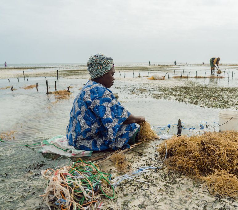 Ocean Imagery for Climate Communicators