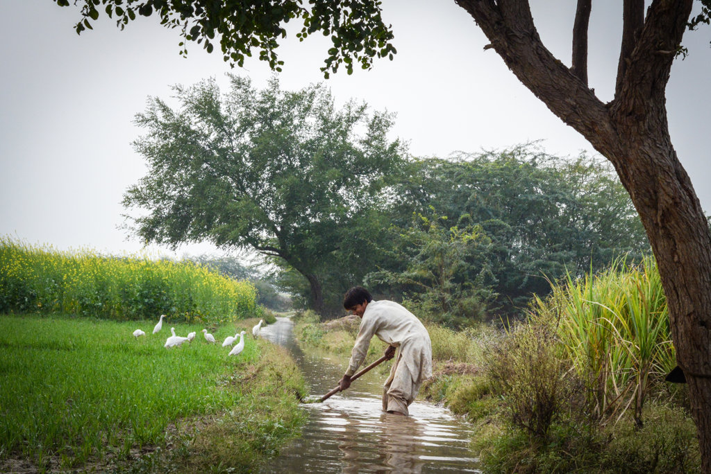 Regenerative Food Systems