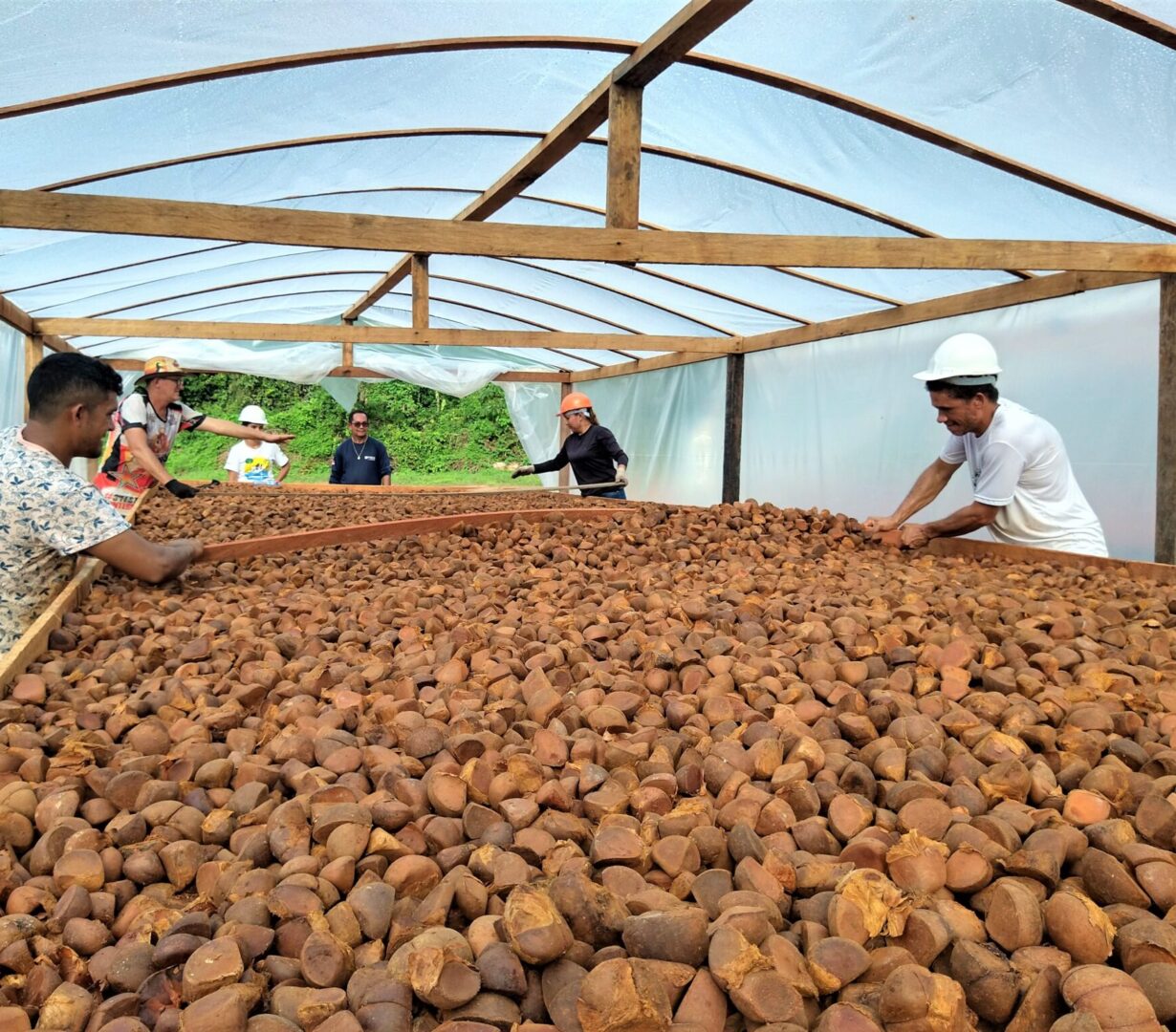 Building an EcoCenter in Brazil